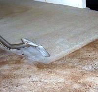 Carpet Cleaning Carindale image 2